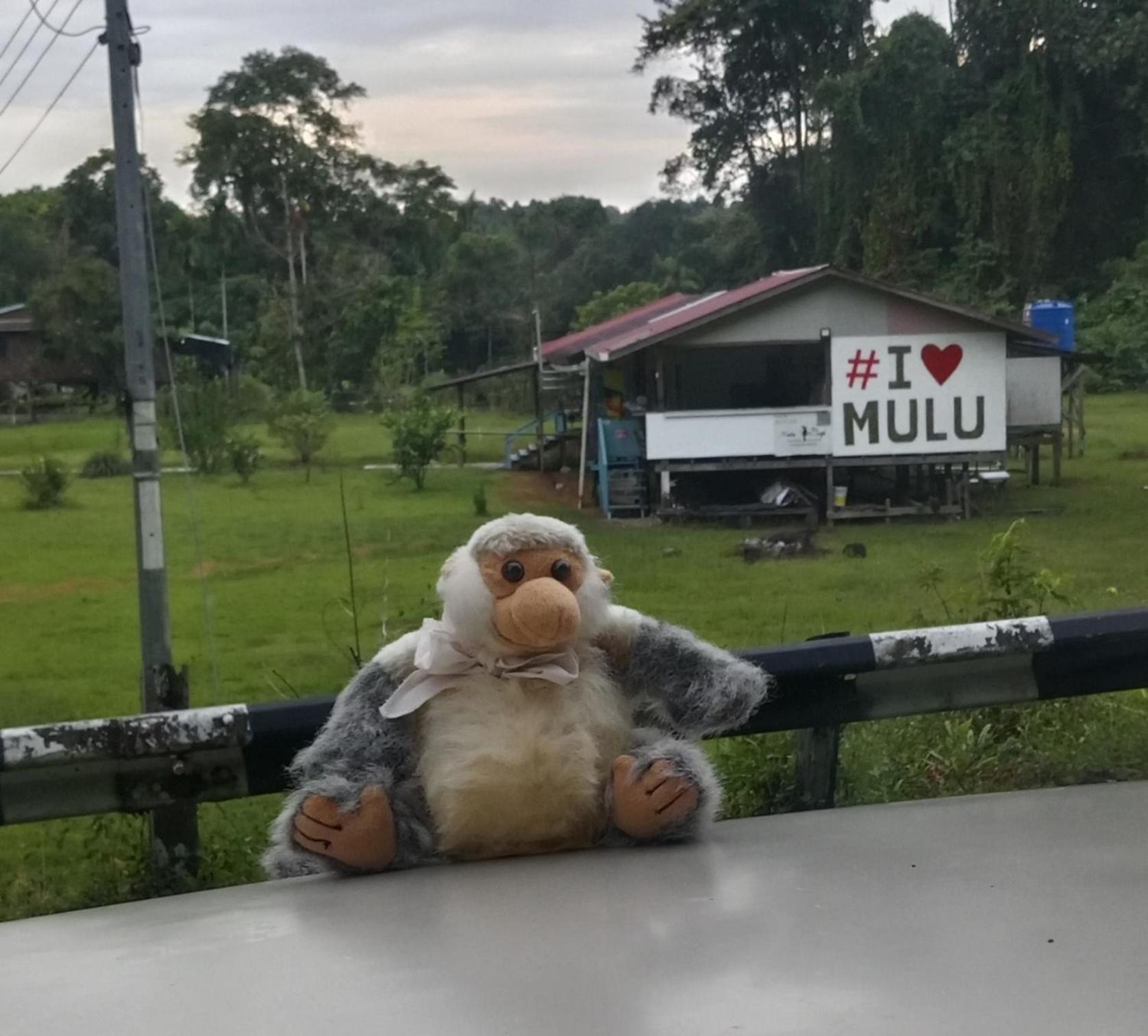 Mulu Village Luaran gambar